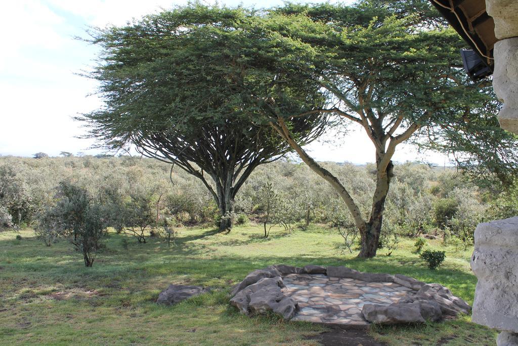 Shwari Cottages Naivasha Exteriér fotografie